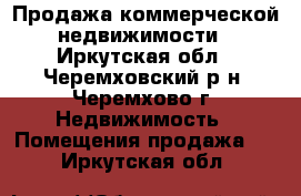 Продажа коммерческой недвижимости - Иркутская обл., Черемховский р-н, Черемхово г. Недвижимость » Помещения продажа   . Иркутская обл.